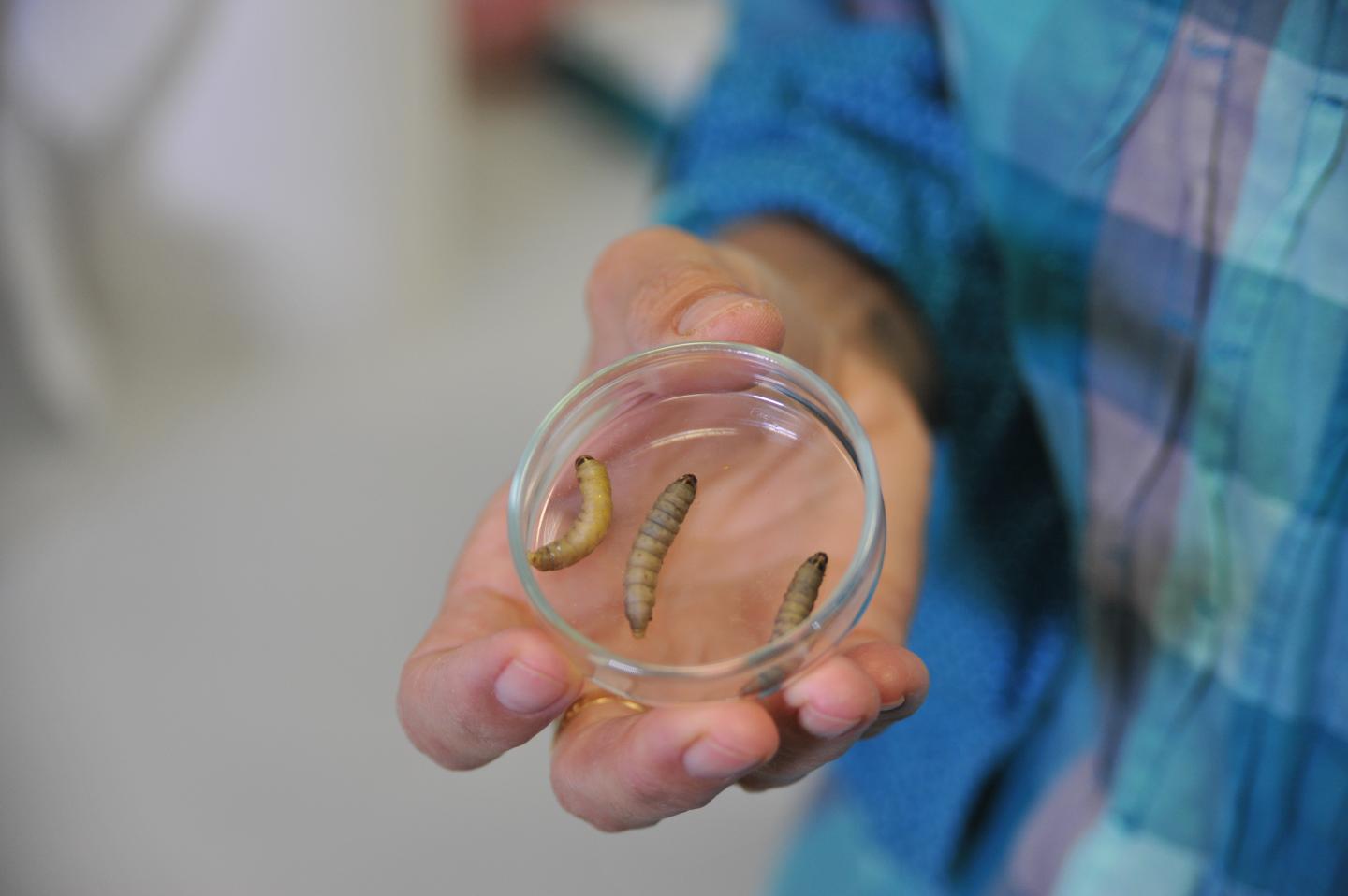 The Week in Science News