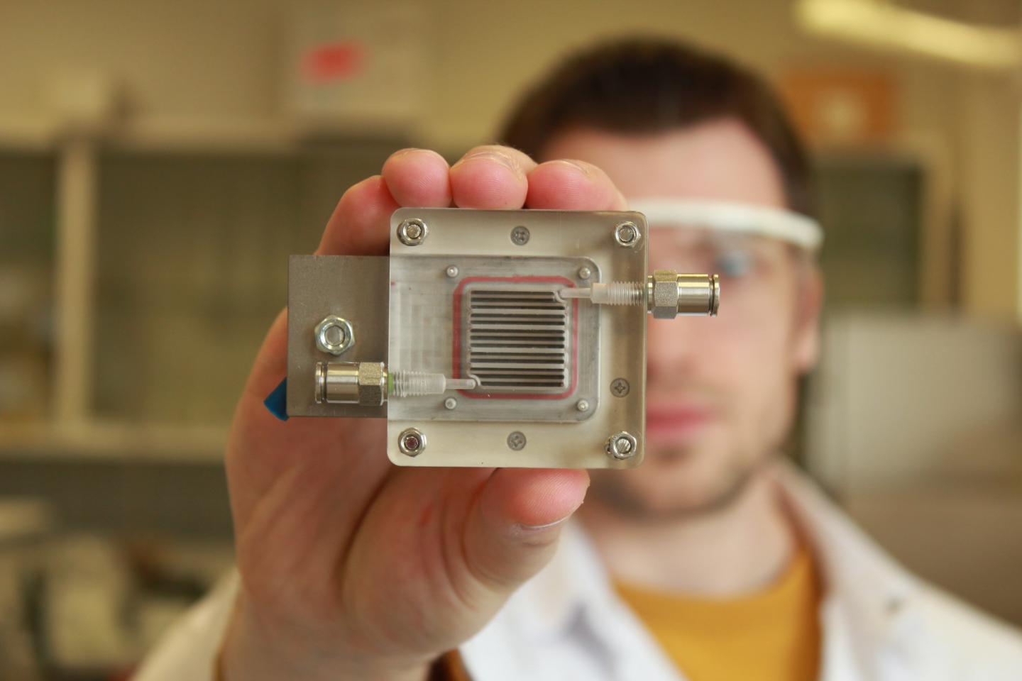 The Week in Science News